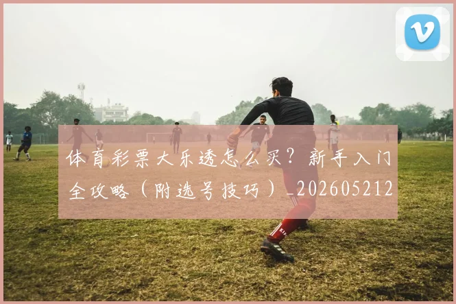 体育彩票大乐透怎么买?新手入门全攻略(附选号技巧)_20260521201006
